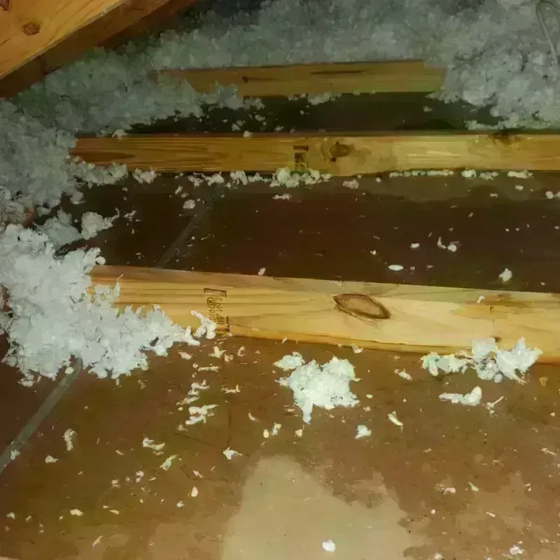 Attic Water Damage in Fate, TX